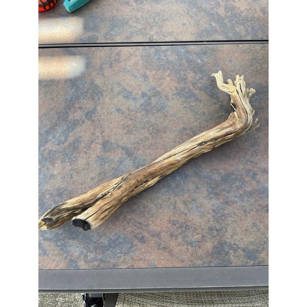 Natural Driftwood for Plants Terrarium Taxidermy Art Projects